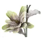 MAGNOLIA X2 Zielony 25X98 cm min 12
